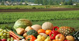 California Grows Most of Our Fruits & Veggies